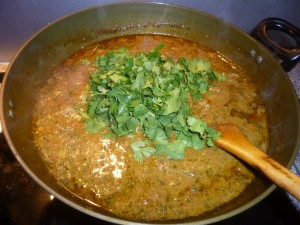 Curry Pressue Cooker Curry-Heute (15)
