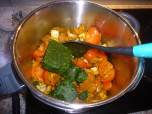 Curry Pressue Cooker Curry-Heute (4)