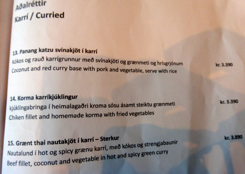 Bambus Reykjavik Curry-Heute (3)