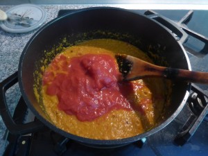 Chicken Korma Curry-Heute (1)