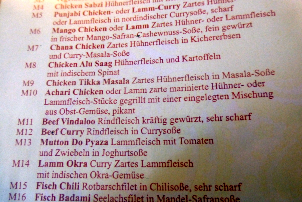Erlangen Sangam Curry-Heute (10)