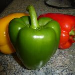 Capsicum is Ballast Curry-Heute (5)